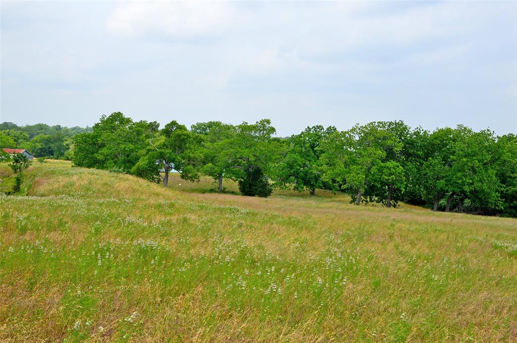 7319 Highway 6, Navasota, Texas image 8