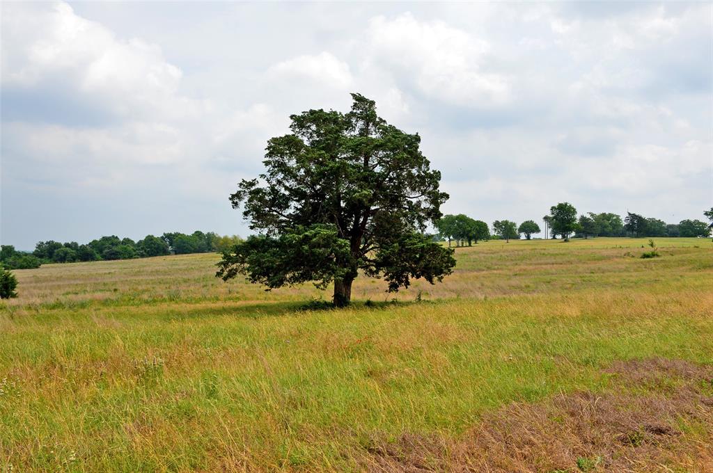 7319 Highway 6, Navasota, Texas image 12