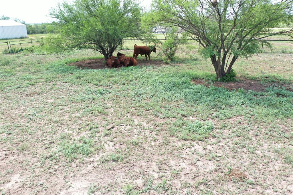 2259 County Road 325, Sabinal, Texas image 41