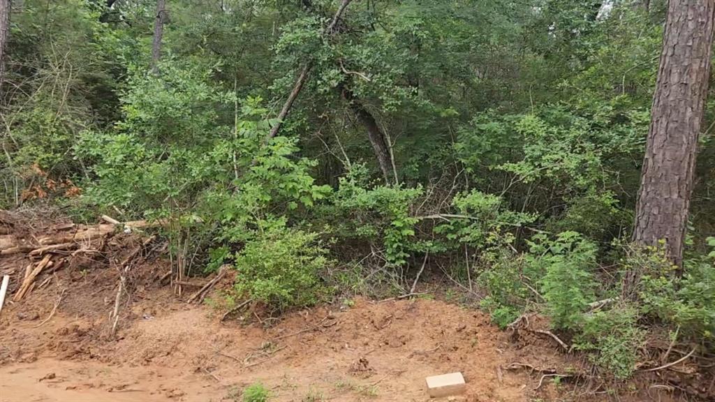 Lot 3 Scarlet Oak Drive