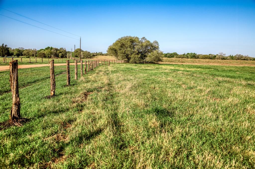 Tracts 10&11 Fieldcrest Ln, Burton, Texas image 2