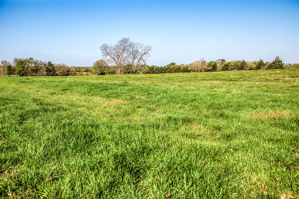 Tracts 10&11 Fieldcrest Ln, Burton, Texas image 6