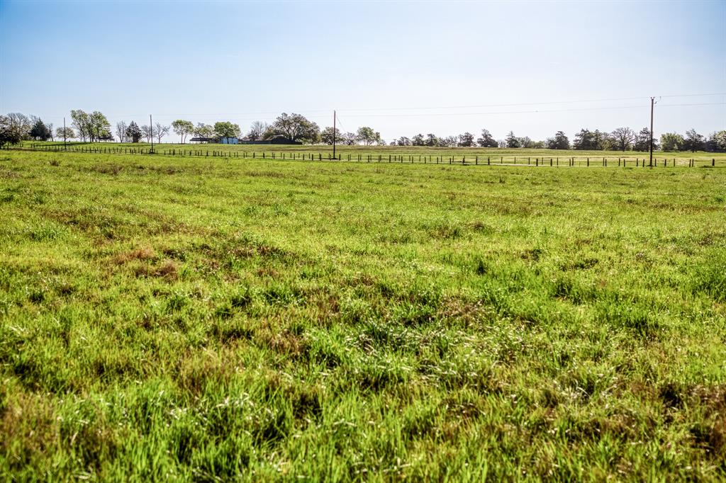 Tracts 10&11 Fieldcrest Ln, Burton, Texas image 7