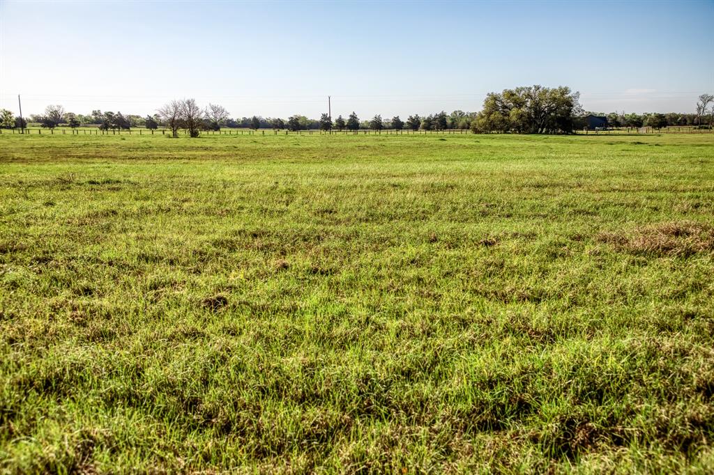 Tracts 10&11 Fieldcrest Ln, Burton, Texas image 4