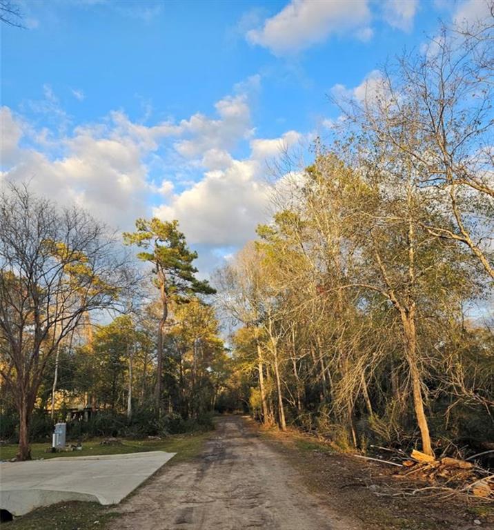 Country Side Lane, Humble, Texas image 2