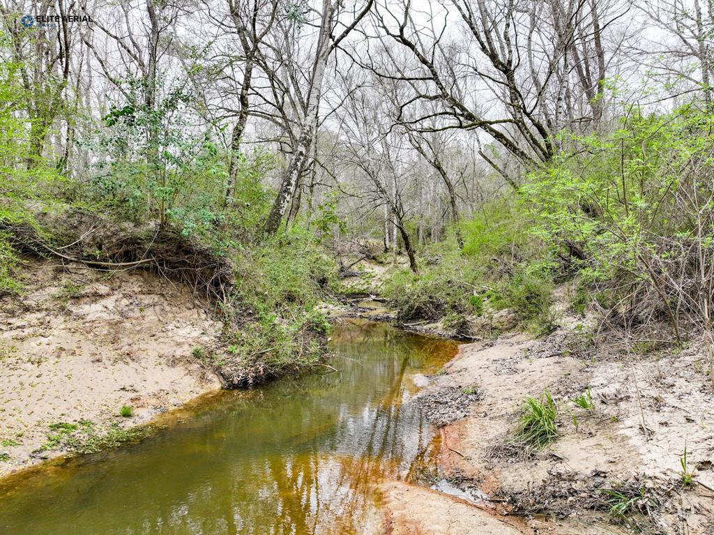 Bevil Lane, Jasper, Texas image 8