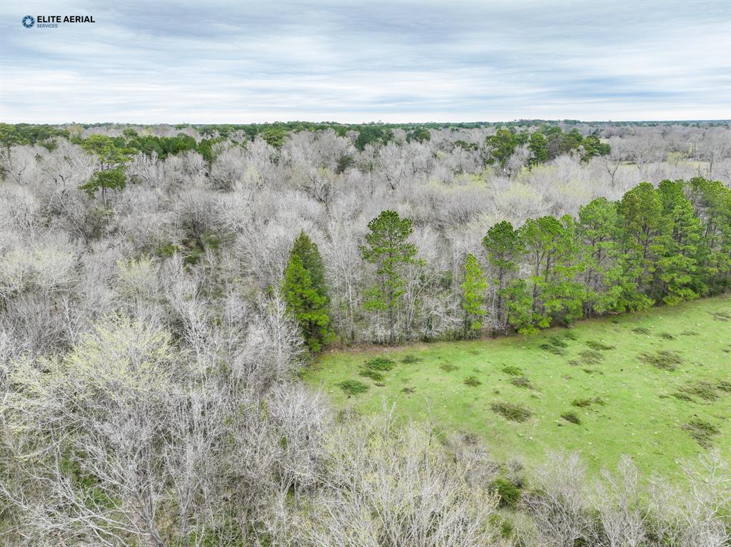 Bevil Lane, Jasper, Texas image 7