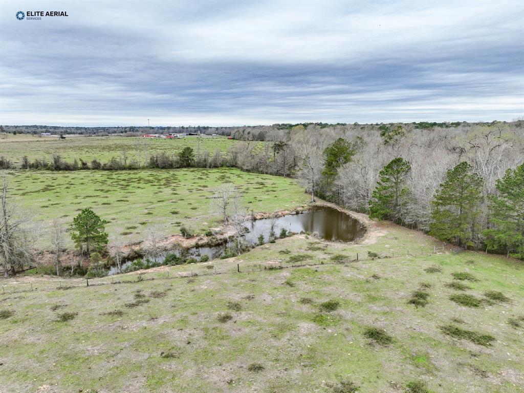 Bevil Lane, Jasper, Texas image 4