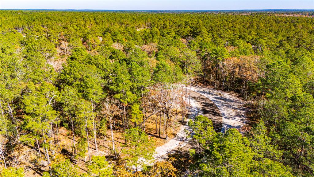 024 Magnolia Ranch Road, Onalaska, Texas image 6