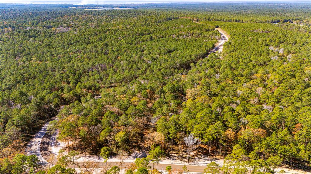 024 Magnolia Ranch Road, Onalaska, Texas image 9