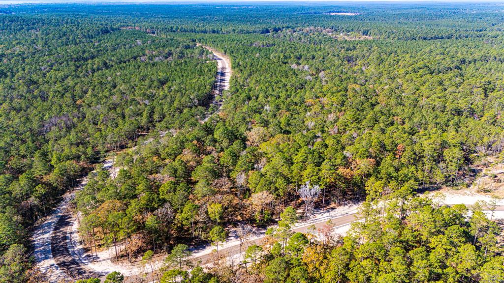 024 Magnolia Ranch Road, Onalaska, Texas image 8