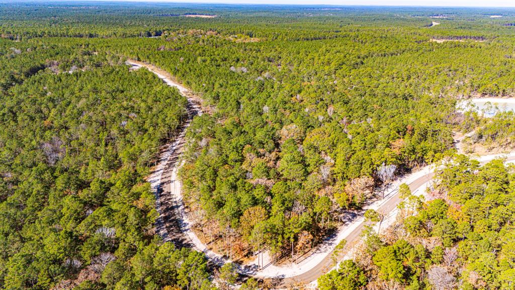 024 Magnolia Ranch Road, Onalaska, Texas image 7