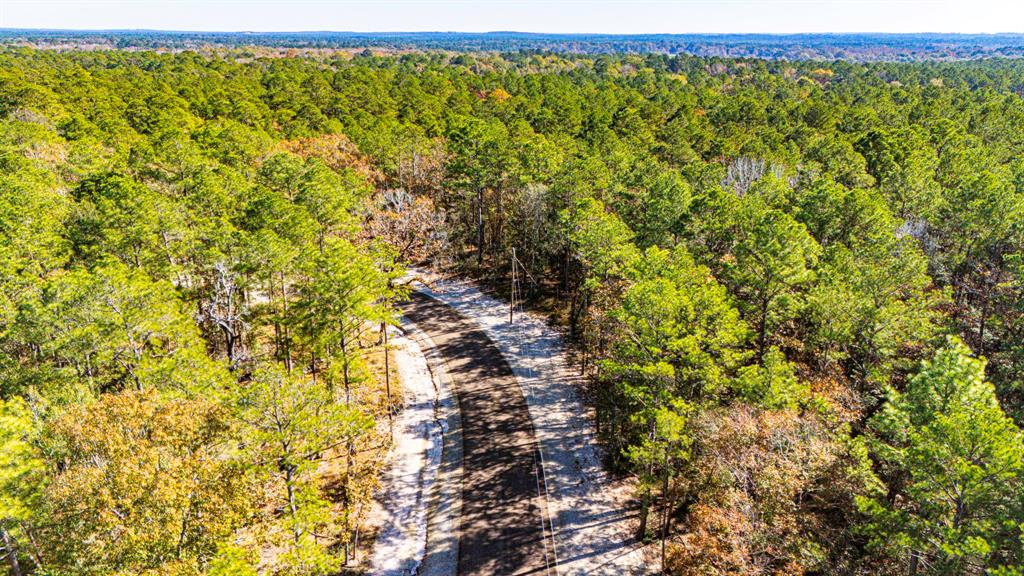 024 Magnolia Ranch Road, Onalaska, Texas image 5