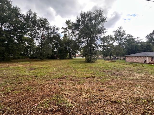 130 Town And Country Drive, Huntsville, Texas image 3