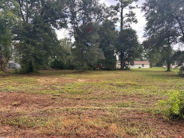 130 Town And Country Drive, Huntsville, Texas image 2