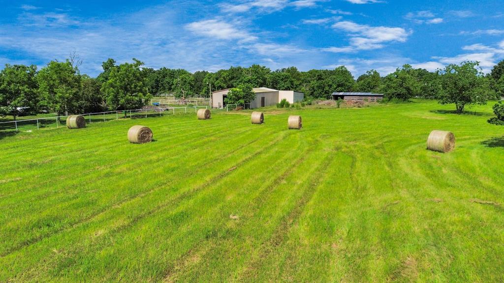 15421 Totis Road, Hockley, Texas image 9