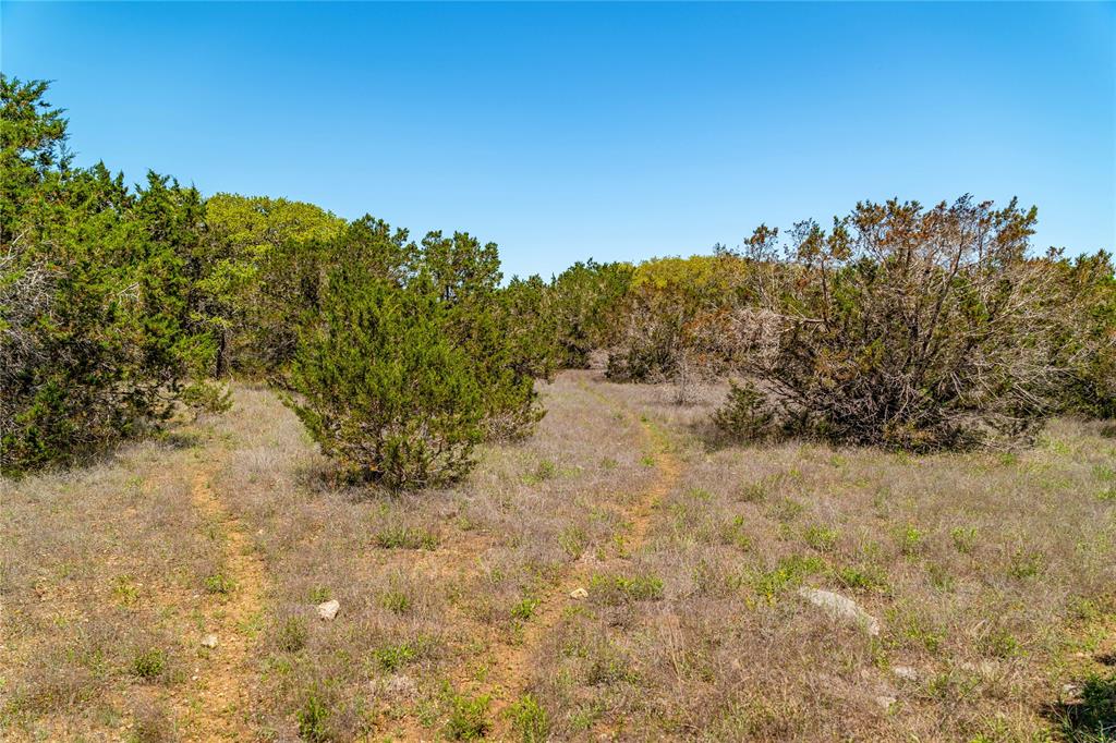 612 Whiskey Trail, Blanco, Texas image 8