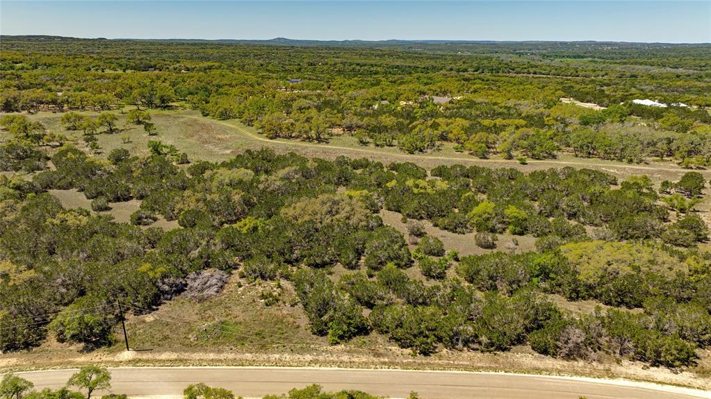 612 Whiskey Trail, Blanco, Texas image 7