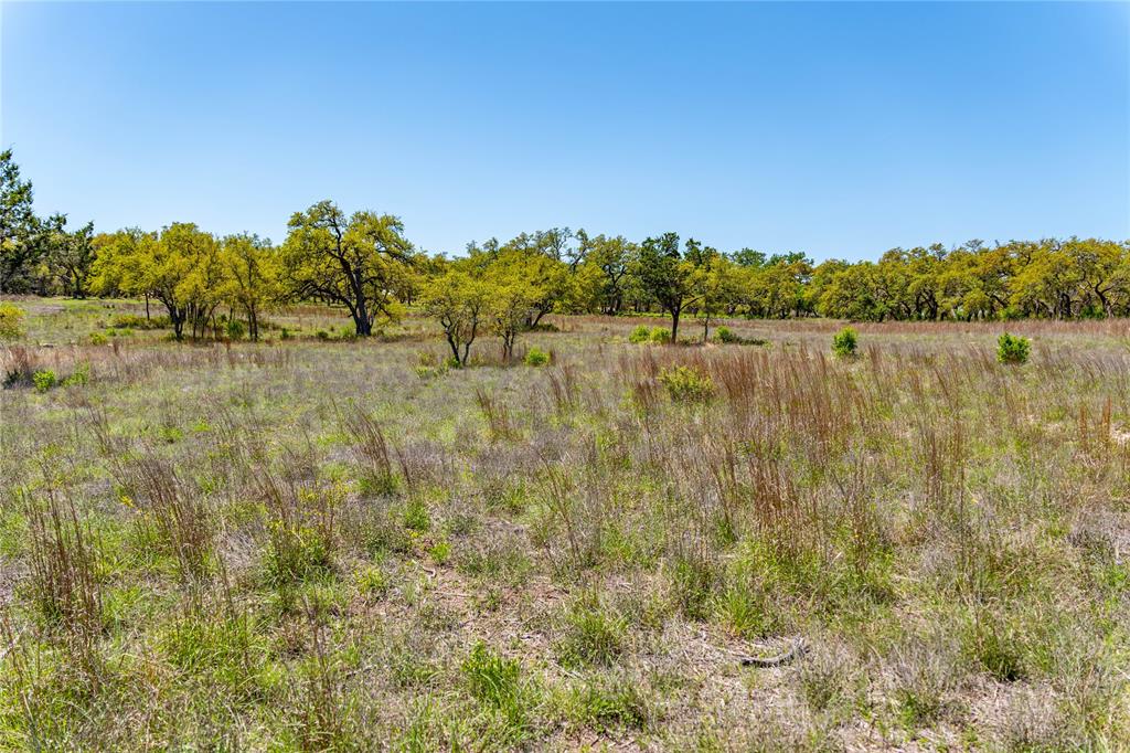 612 Whiskey Trail, Blanco, Texas image 5