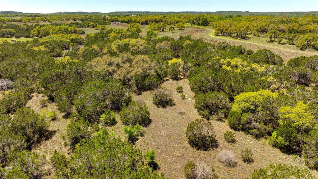 612 Whiskey Trail, Blanco, Texas image 2