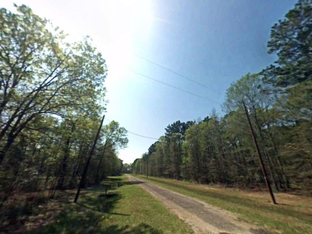 Thornbranch, Livingston, Texas image 4