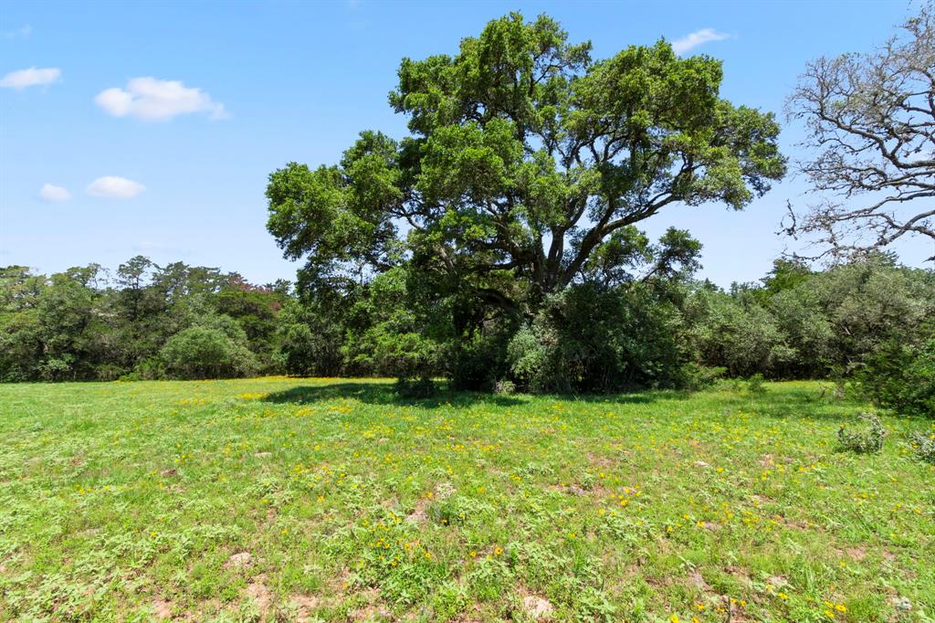 000 Henneke Road, Alleyton, Texas image 15