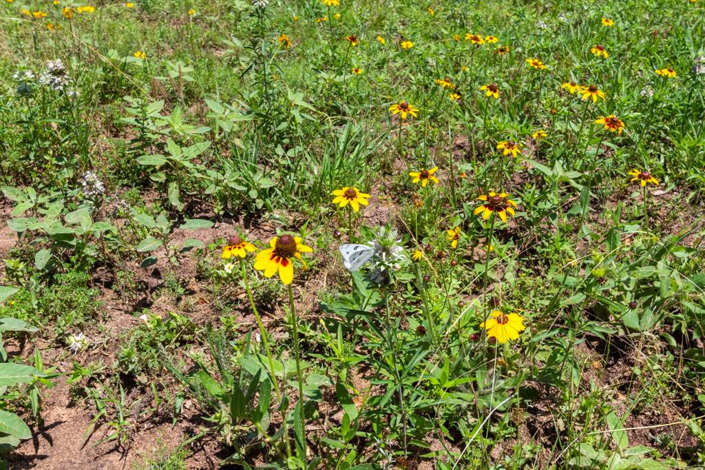 000 Henneke Road, Alleyton, Texas image 14