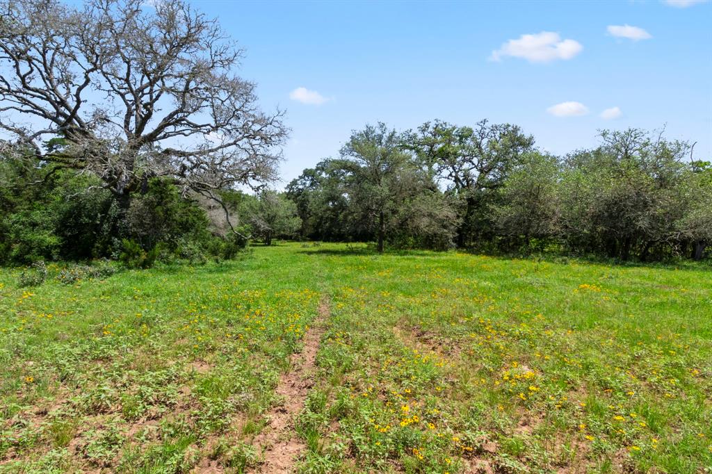 000 Henneke Road, Alleyton, Texas image 12