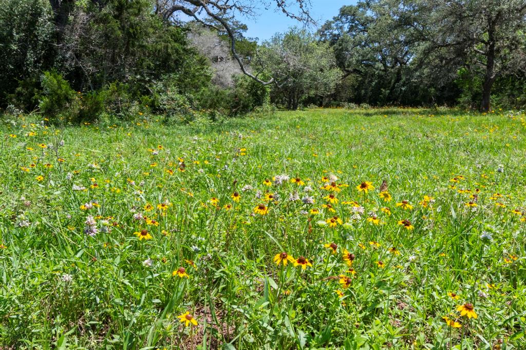 000 Henneke Road, Alleyton, Texas image 13