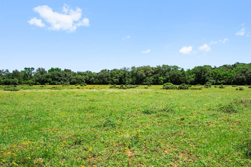 000 Henneke Road, Alleyton, Texas image 20