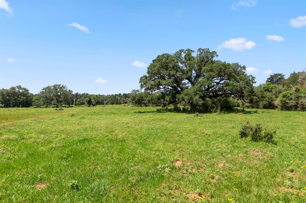 000 Henneke Road, Alleyton, Texas image 10