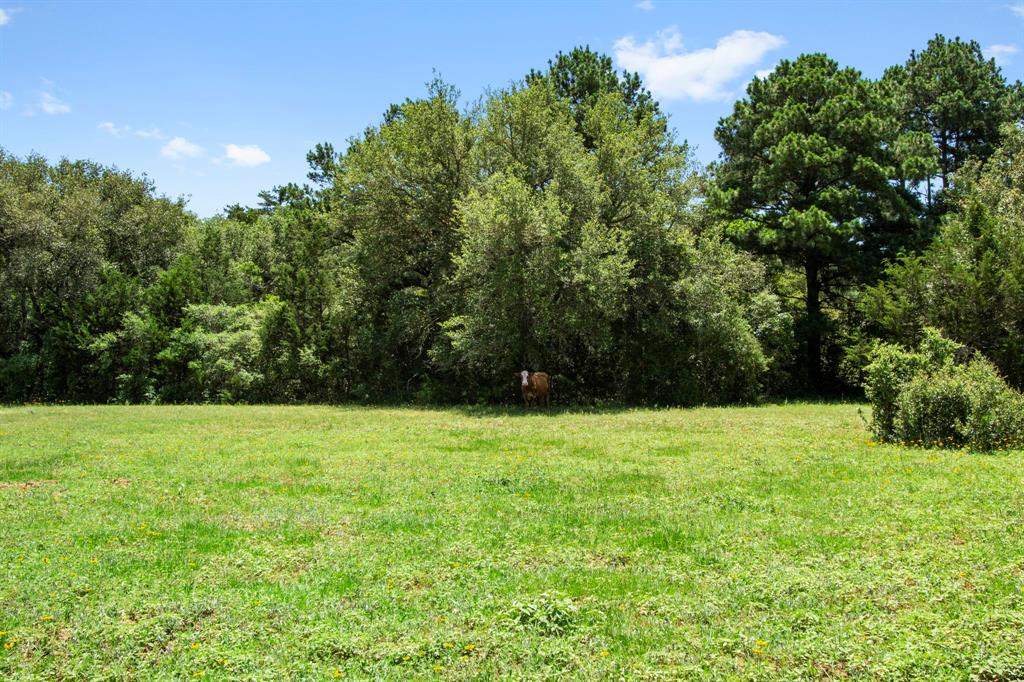 000 Henneke Road, Alleyton, Texas image 21