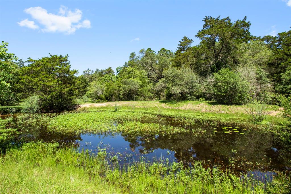 000 Henneke Road, Alleyton, Texas image 17