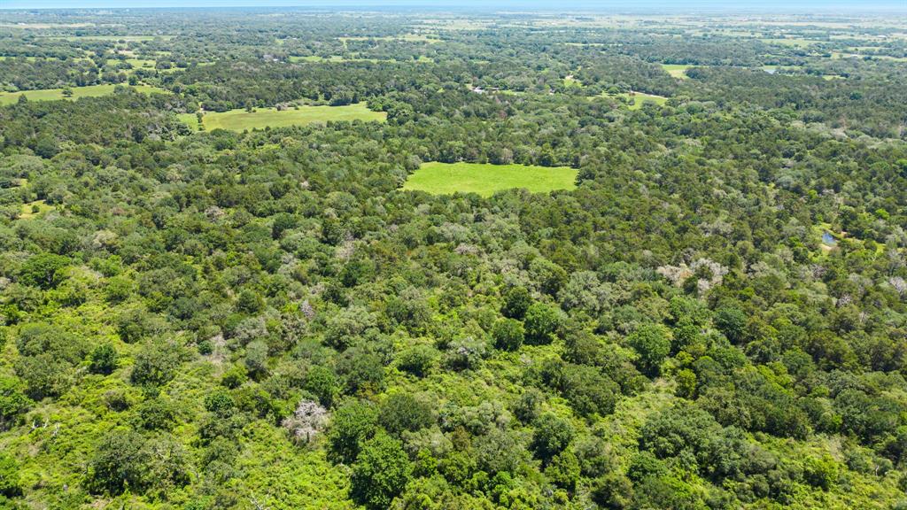 000 Henneke Road, Alleyton, Texas image 5