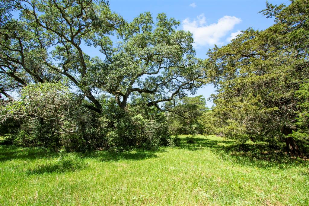 000 Henneke Road, Alleyton, Texas image 19