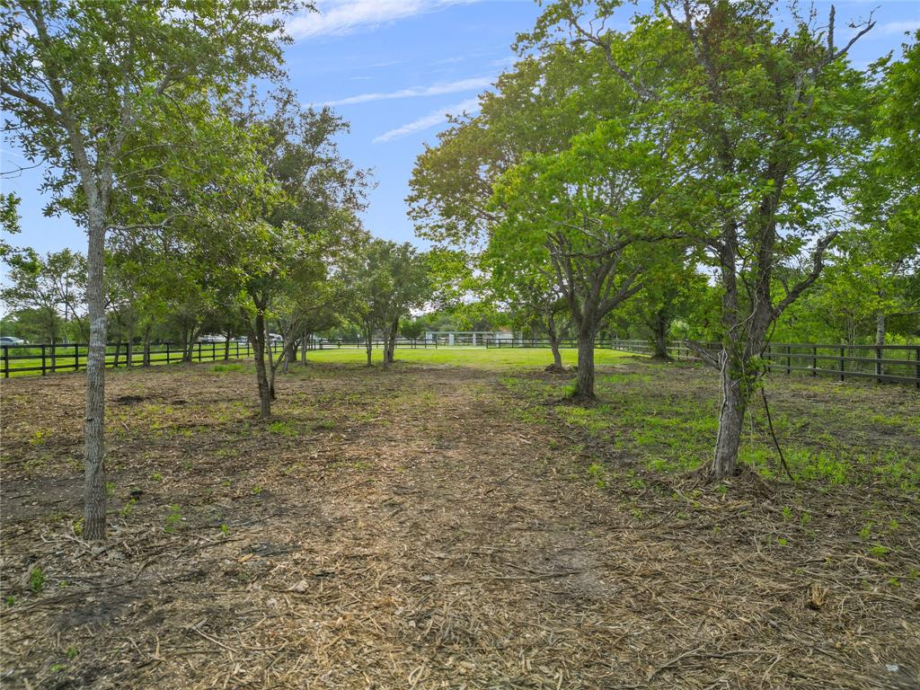 7607 Burns Street, Hitchcock, Texas image 7