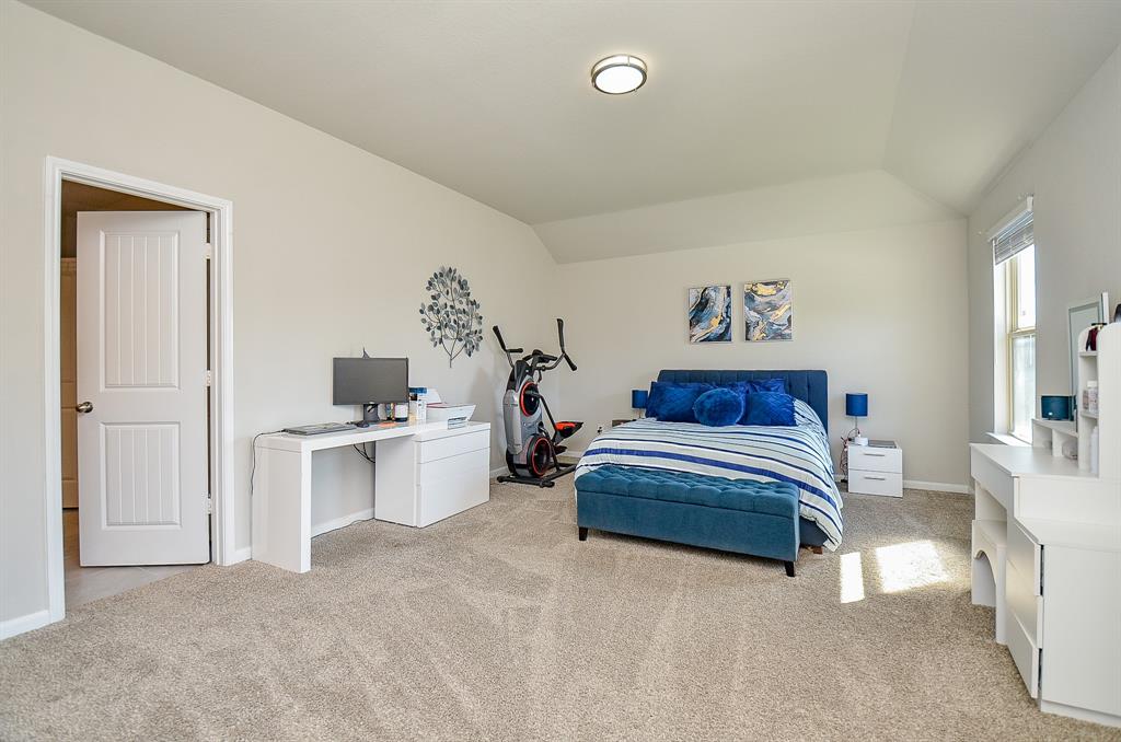3350 Scout Island, Katy, Texas image 22