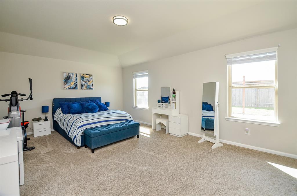 3350 Scout Island, Katy, Texas image 21