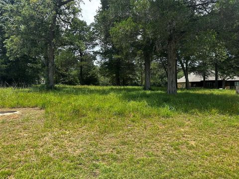 Photo of 0 N Falls Dr, New Ulm, TX 78950 (MLS # 918123) Photo of 0 N Falls Dr, New Ulm, TX 78950 (MLS # 918123)