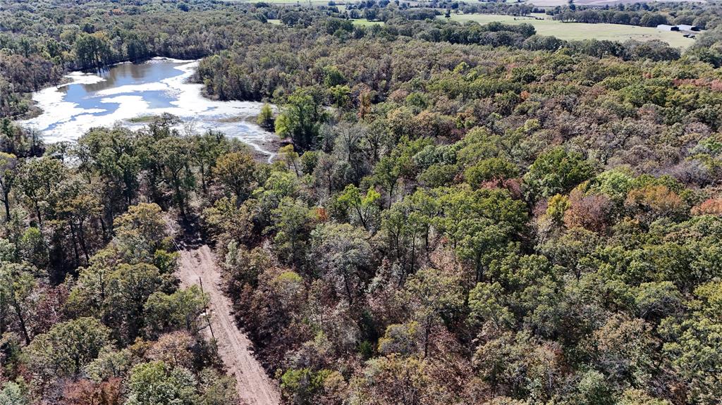 128 Acres, Bogata, Texas image 10