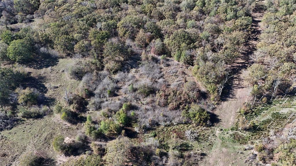 128 Acres, Bogata, Texas image 21