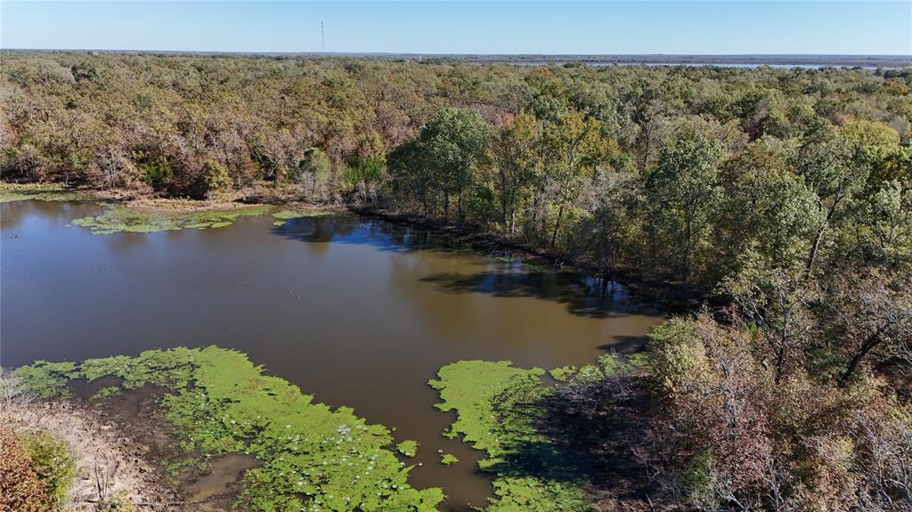 128 Acres, Bogata, Texas image 15