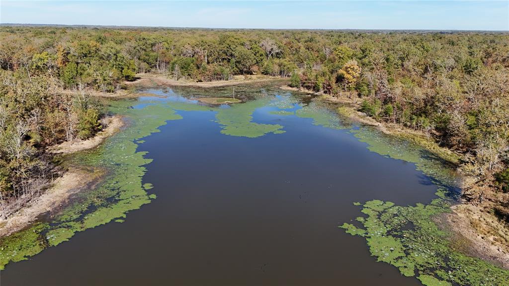 128 Acres, Bogata, Texas image 16