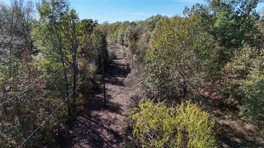 128 Acres, Bogata, Texas image 22