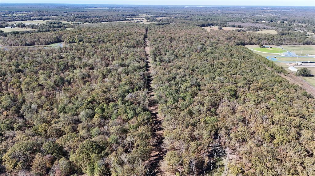 128 Acres, Bogata, Texas image 5