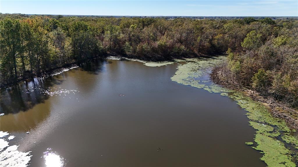 128 Acres, Bogata, Texas image 19