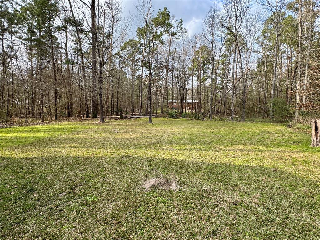 375 Chestnut Bend, Huntsville, Texas image 11