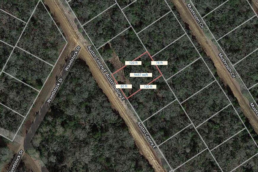 Lot 40 E Austin Colony, Normangee, Texas image 2