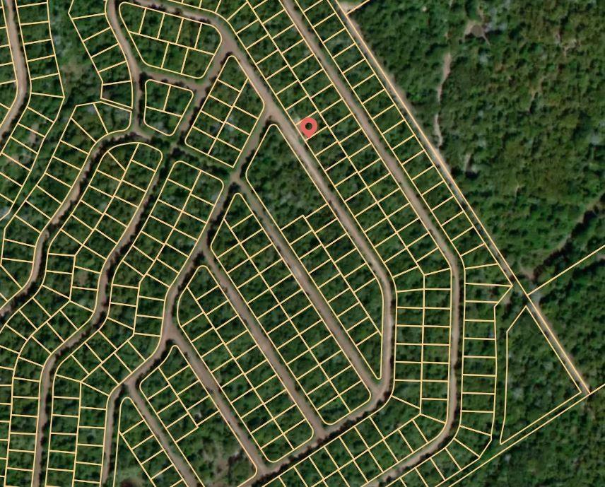 Lot 40 E Austin Colony, Normangee, Texas image 3