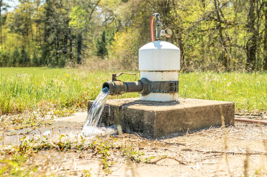 Davidson Road, Huntsville, Texas image 8